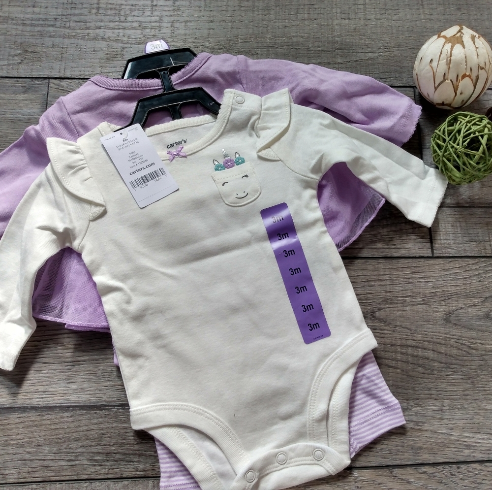 Carter's girls outfit 9 month